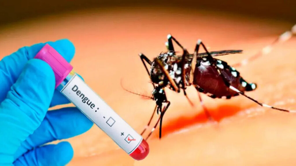 Vacuna contra el dengue. Cuba inició estudios para producir una.